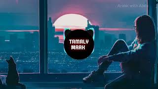 Amr Diab  Tamally Maak with lyrics [upl. by Anaidiriv]