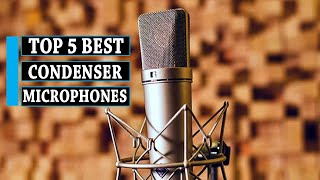 Condenser Mic 5 Best Condenser Microphones  You Can Buy [upl. by Ajoop756]