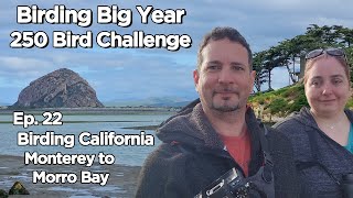 250 Bird Challenge in California Monterrey to Morro Bay Ep22 [upl. by Eberto]