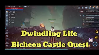 DWINDLING LIFE MIR4 BICHEON CASTLE QUEST [upl. by Aible]