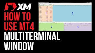 MT4 Multiterminal Window Basics  MT4 Tutorials  XM [upl. by Aleiram]