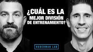 ¿Cuál es la Mejor División de Entrenamiento Huberman Lab Podcast [upl. by Attekram41]