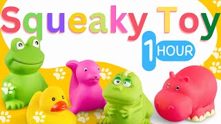 1 Hour Dog Squeaky Toy Sounds  HQ Sound That Attract Dogs [upl. by Anewor154]