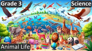 Grade 3  Science  Animal Life  Free Tutorial  CBSE  ICSE  State Board [upl. by Reffineg211]