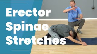 3 Erector Spinae Stretches [upl. by Cheffetz]