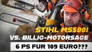 109 Euro Die 6 PS BilligMotorsäge im Vergleich mit der STIHL MS 500i [upl. by Alicea656]