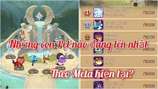 Afk Arena  Những em Pet đáng lên nhất theo meta hiện tại  Thánh Địa Afk [upl. by Letreece]