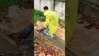 Unclogging Drain With Big Whirlpool viral drainage satisfying funny shorts [upl. by Rolyt]