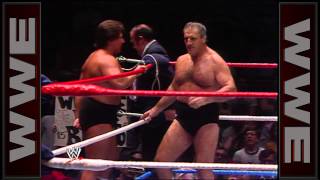 Bruno and David Sammartino vs Brutus Beefcake and Johnny V Madison Square Garden May 20 1985 [upl. by Ttocserp533]