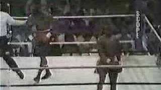 Pernell Whitaker vs Roger Mayweather [upl. by Assirek]