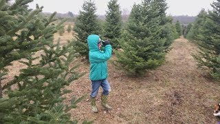 Finding The Perfect Christmas Tree [upl. by Notyal]