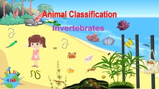 Invertebrate Animals  Educational Video Classification of Invertebrates [upl. by Ailemak]