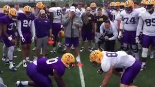 Big Cat Drill gets testy at LSU [upl. by Ahsieni]