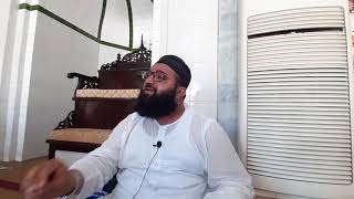 surah shams in beautifull voice by qari hammad ullah sajid 10 4 2019 [upl. by Janenna]