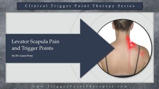 Levator Scapula Pain and Trigger Points [upl. by Salakcin]