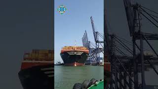 MSC Anna the largest container vessel ever docked at Karachi Port Trusts South Wharf Terminal [upl. by Aicineohp]