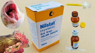 Nystatin for Chickens  Nilstat Drops  Fungal infection Treatment in Poultry  Dr ARSHAD [upl. by Aeiram]