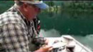 Fishing with Rod Identifying kokanee and coho salmon [upl. by Amelia]