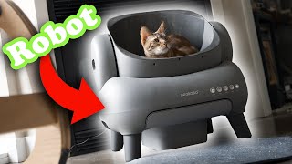 Is A Robot Cat Toilet Really Worth 500 [upl. by Namie668]