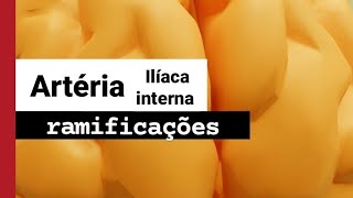 Artéria Ilíaca Interna [upl. by Annoled]