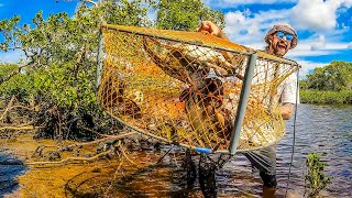 Big Rains  MUD CRABS  Seafood Catch amp Cook [upl. by Ellehsal287]