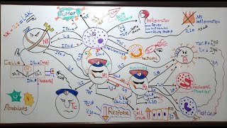 Cytokines Lecture 21 Module 309 [upl. by Kohler]