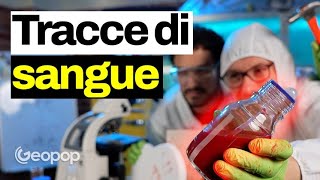 L’analisi forense delle tracce di sangue vi mostriamo la tecnica per ricostruire scene del crimine [upl. by Nolaj]