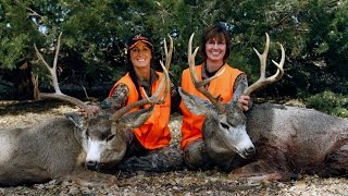 Nebraska Mule Deer with Mom [upl. by Thetisa]