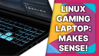 A Linux gaming Laptop isnt as crazy as it sounds Slimbook Hero review [upl. by Aneez445]