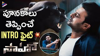 Prabhas Stunning Introduction Fight Scene  Saaho Telugu Movie Scenes  Shraddha Kapoor  Sujeeth [upl. by Amr]