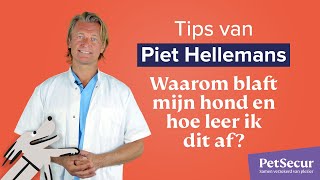 Piet Hellemans  Waarom blaft mijn hond en hoe leer ik het af [upl. by Carter]