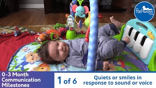 Baby Sensory  Things that fly  High Contrast Infant Visual Stimulation Video for Baby [upl. by Asseniv]