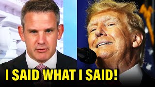 FED UP Adam Kinzinger UNLEASHES on Trump Threat [upl. by Normalie]