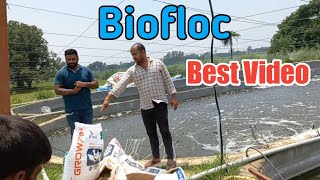 Biofloc Fish farm Update  Pangasius amp Tilapia High Density Fish Farming In Gorakhpur UP [upl. by Lotus]