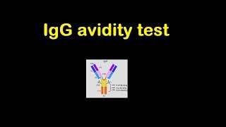 IgG avidity test  explained in just 2 minutes [upl. by Nitsew424]