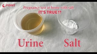 Pregnancy Test At Home  Home Pregnancy Test With Salt  Its True [upl. by Ejrog]