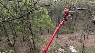 92 spider lift pruning trees in high winds [upl. by Narut]