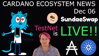 SundaeSwap TestNet is LIVE Full Walkthrough and DEMO [upl. by Maroney]