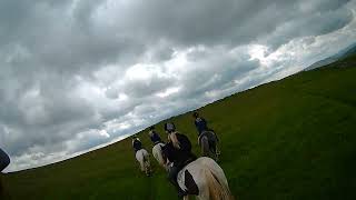 Kilnsey canter 000 13 June 24 [upl. by Macy623]