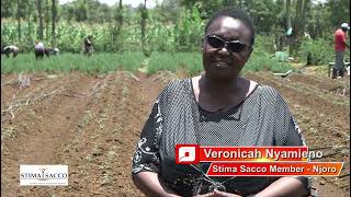 Veronica and Macharias Journey  Beneficiaries of Stima Sacco Biashara Loan [upl. by Qifar854]