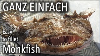 Seeteufel filetieren  Enthäuten Filets auslösen Medaillons amp Steaks schneiden  Monkfish Tutorial [upl. by Ziguard]