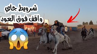 Marché de chevaux au Maroc سوق ليوم زوين مع اثمنة الخيول € والحمد لله رجعنا من جديد من بعد المرض🥰 [upl. by Dicks]