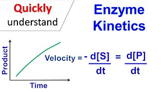 Enzyme kinetics [upl. by Rupert459]