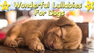 Super Relaxing Lullaby For Dogs And Puppies ♫ Relax Your Dog Effectively ♥ Soft Sleep Music [upl. by Cristy]