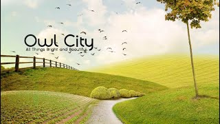 Owl City12 Plant Life Lyrics [upl. by Mingche]