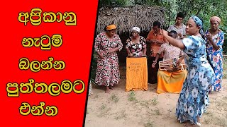 African Sri Lankans අප්‍රිකානු නැටුම් බලන්න පුත්තලමට එන්න mojonewslk [upl. by Carder689]