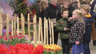 Lentetuin Breezand 2017 [upl. by Malo]