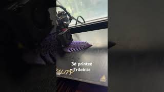 3D printed Trilobite￼ [upl. by Eedahs408]