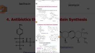 SAR of Cephalosporins Tetracyclines Aminoglycosides and Macrolides [upl. by Ayotna463]