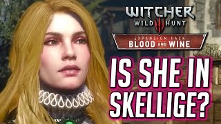 Witcher 3 🌟 Does Vivienne Go to Skellige after Novigrad Blood amp Wine [upl. by Claudian761]